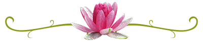 Lotus Flower Image